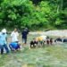 Meubureu Ikan Jangko Tradisi Yang Masih Terjaga Di Gampong Seng-Seng Meukek