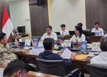 Haili Yoga Kawal Usulan Infrastruktur Pascabencana Aceh Tengah kepada Wamen PU