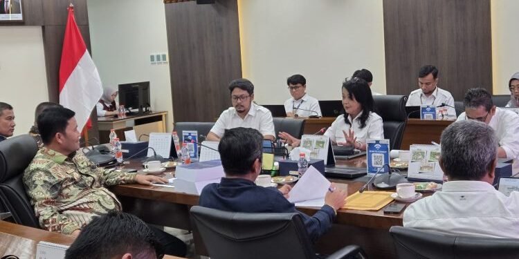 Haili Yoga Kawal Usulan Infrastruktur Pascabencana Aceh Tengah kepada Wamen PU