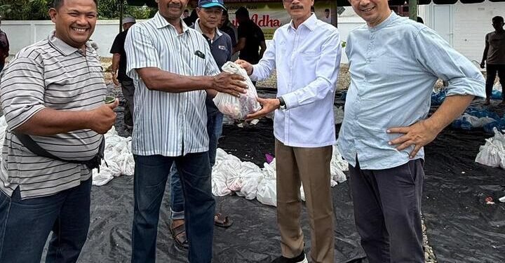 Gerindra Aceh Salurkan 85 Ekor Sapi Kurban