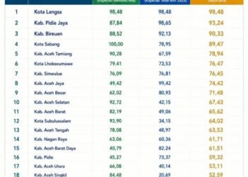 Nyan, Pidie Jaya Raih Peringkat Dua Pengelolaan KDMP Terbaik di Aceh