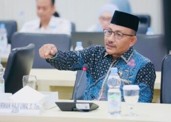 Haji Uma Soroti Kesiapan Daerah dan Keberlanjutan PPPK dalam RDPU Komite I DPD RI