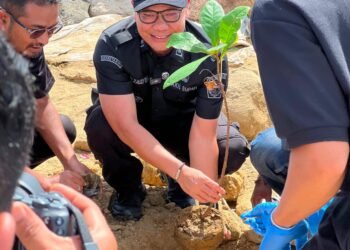 Wabup Pidie Tanam 200 Pohon di Pantai Pelangi, Serukan Aksi Nyata Hadapi Perubahan Iklim