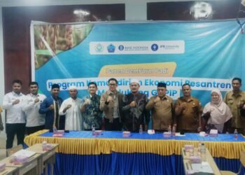 Pesantren Jadi Lokomotif Pertanian Modern, IPB Kenalkan Varietas Padi Cerdas Iklim di Pidie Jaya