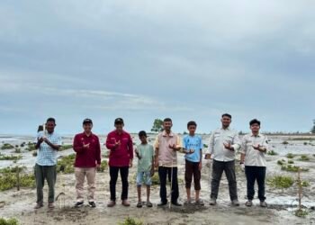 Pesisir Pantai Lambadeuk Ditanami 200 Batang Mangrove