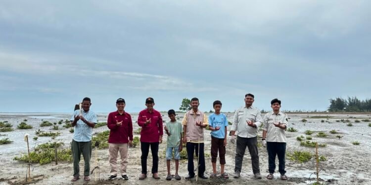 Pesisir Pantai Lambadeuk Ditanami 200 Batang Mangrove