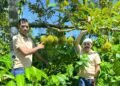 Pemkab Pidie Dorong Durian Montong dan Kopi Geumpang Jadi Komoditas Unggulan Daerah