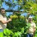 Pemkab Pidie Dorong Durian Montong dan Kopi Geumpang Jadi Komoditas Unggulan Daerah