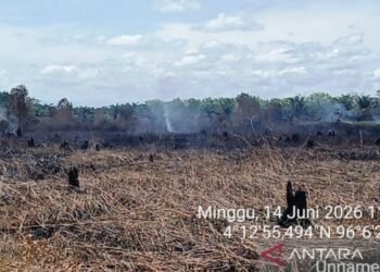 Karhutla di Aceh Barat Meluas Jadi 34,1 Hektare