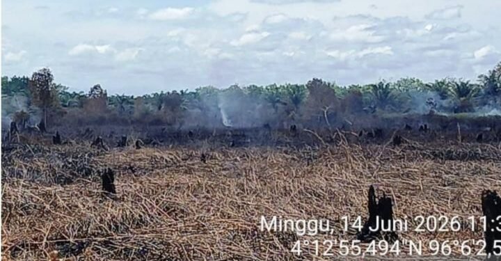 Karhutla di Aceh Barat Meluas Jadi 34,1 Hektare