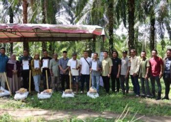 Pemkab Aceh Timur Pulihkan 411 Hektare Kebun Sawit Terdampak Banjir