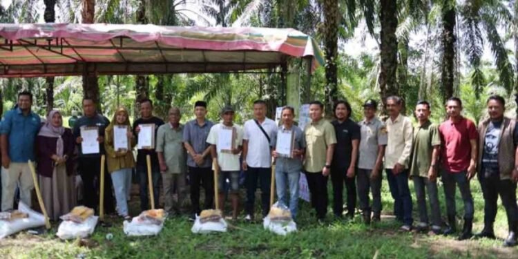 Pemkab Aceh Timur Pulihkan 411 Hektare Kebun Sawit Terdampak Banjir