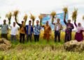 CI-BEST IPB University Kembangkan Ekosistem Beras Berbasis Pesantren di Aceh