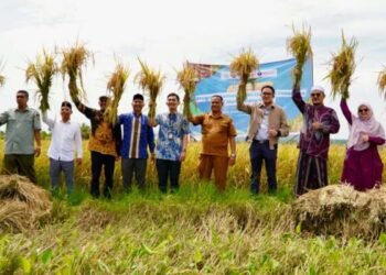 CI-BEST IPB University Kembangkan Ekosistem Beras Berbasis Pesantren di Aceh