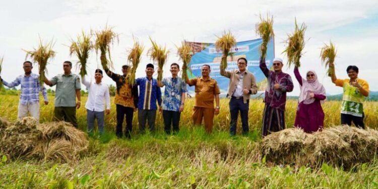 CI-BEST IPB University Kembangkan Ekosistem Beras Berbasis Pesantren di Aceh