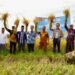 CI-BEST IPB University Kembangkan Ekosistem Beras Berbasis Pesantren di Aceh