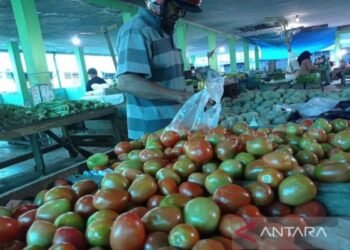 Tomat Picu Inflasi Mei di Aceh Sebesar 0,60 Persen