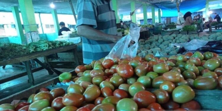 Tomat Picu Inflasi Mei di Aceh Sebesar 0,60 Persen