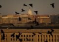 Gedung Pentagon Ditutup Diduga Tercemar Bahan Berbahaya