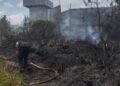 Satu Hektare Lahan Pinus di Weh Pesam Bener Meriah Terbakar