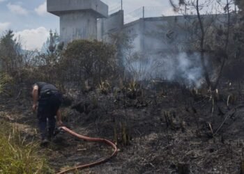 Satu Hektare Lahan Pinus di Weh Pesam Bener Meriah Terbakar