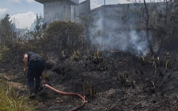 Satu Hektare Lahan Pinus di Weh Pesam Bener Meriah Terbakar