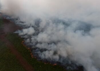 Satu Hektare Lahan di Ketol Aceh Tengah Terbakar