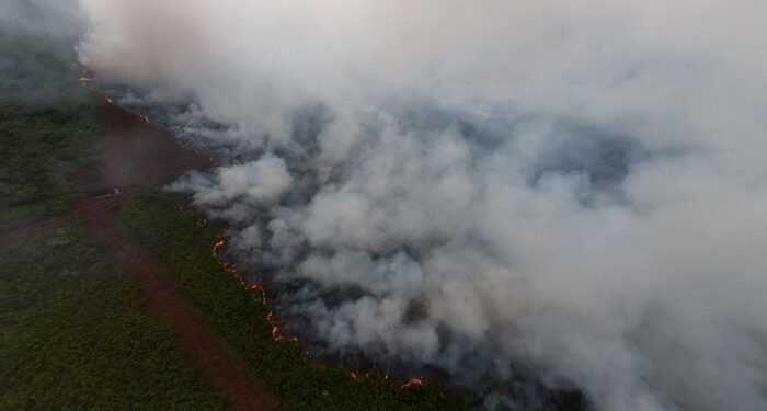 Satu Hektare Lahan di Ketol Aceh Tengah Terbakar
