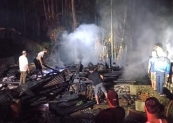 Sijago Merah Lalap 5 Rumah di Aceh Tenggara