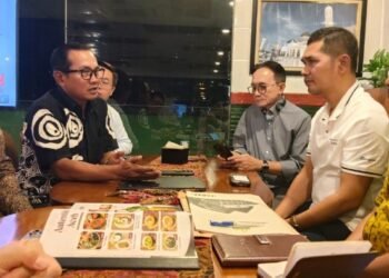 Sekda dan PLN Pusat Bahas Prospek Pengembangan Pembangkit Listrik Tenaga Surya di Aceh