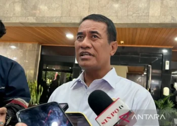 Mentan Pastikan Penanganan Sawah Terdampak Aceh Berjalan Bertahap