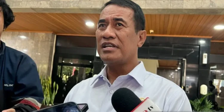 Mentan Pastikan Penanganan Sawah Terdampak Aceh Berjalan Bertahap