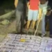 Peredaran 130 Kilogram Sabu Berhasil Digagalkan, Seorang Kurir Diamankan di Aceh Timur