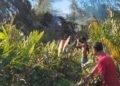 Damkar BPBD Aceh Besar Berhasil Padamkan Kebakaran Lahan di Gampong Ruyung
