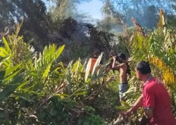 Damkar BPBD Aceh Besar Berhasil Padamkan Kebakaran Lahan di Gampong Ruyung