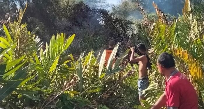 Damkar BPBD Aceh Besar Berhasil Padamkan Kebakaran Lahan di Gampong Ruyung