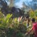 Damkar BPBD Aceh Besar Berhasil Padamkan Kebakaran Lahan di Gampong Ruyung