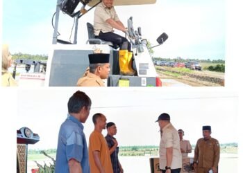 Kerja Keras Bupati Dr. Safaruddin Lobi Pusat, Petani Abdya Senyum Bahagia