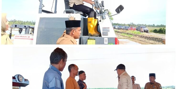 Kerja Keras Bupati Dr. Safaruddin Lobi Pusat, Petani Abdya Senyum Bahagia