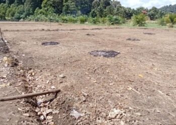 386 Hektare Lahan Sawah di Aceh Jaya Alami Kekeringan