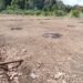 386 Hektare Lahan Sawah di Aceh Jaya Alami Kekeringan