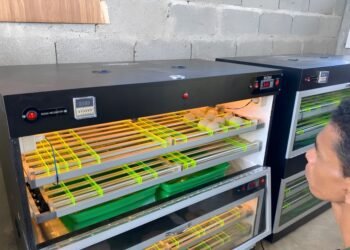 40 Peternak Itik di Aceh Barat Raih Manfaat Program Pemberdayaan Berbasis Teknologi dari UTU-UNCM