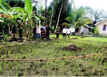 Dosen UTU Kembangkan Model Sosio-Tekno Smart Farming di Aceh Barat