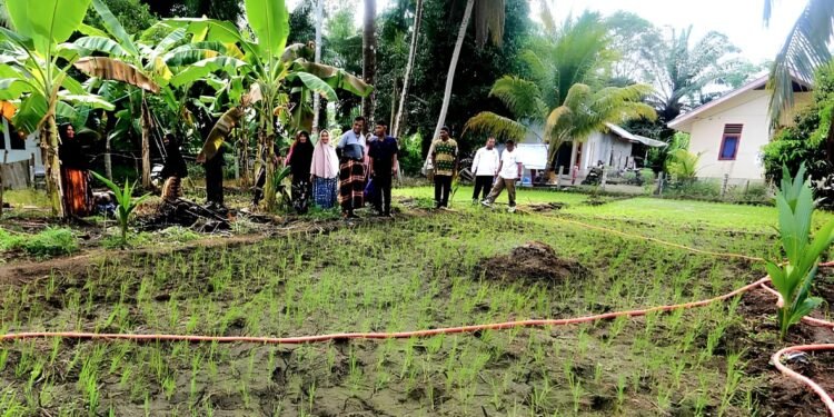 Dosen UTU Kembangkan Model Sosio-Tekno Smart Farming di Aceh Barat