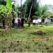 Dosen UTU Kembangkan Model Sosio-Tekno Smart Farming di Aceh Barat