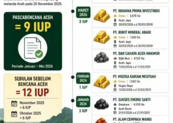 Ohku, Pemerintah Aceh Terbitkan 9 Izin Tambang Baru Pasca Bencana