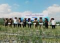 Panen Perdana Bawang Merah di Lahan Pascabanjir, BI dan Pemkab Pidie Jaya Siapkan Model Pemulihan Ekonomi Berbasis Pertanian