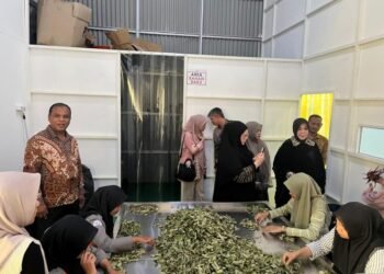 Dorong Ekspansi UMKM, Wali Kota Banda Aceh Tinjau Langsung Produksi Capli
