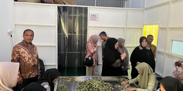 Dorong Ekspansi UMKM, Wali Kota Banda Aceh Tinjau Langsung Produksi Capli