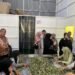 Dorong Ekspansi UMKM, Wali Kota Banda Aceh Tinjau Langsung Produksi Capli